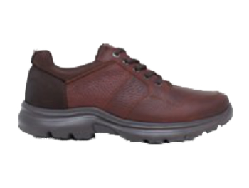 Work and walk Chestnut